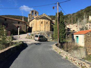 Tocht Stappen Prunet-et-Belpuig - Boule d’amont Prunet-et-Belpuig la Trinité  - Photo