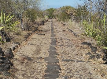 Tour Wandern La Possession - chemin des anglais  - Photo