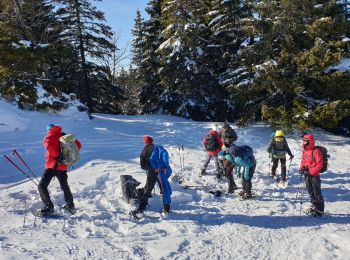 Excursión Raquetas de nieve Les Rousses - Noirmont et mont Sala Suisse - Photo