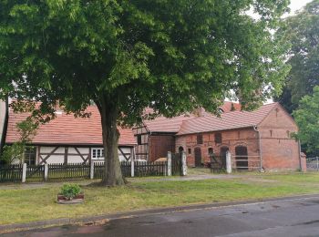 Tocht Te voet Märkische Heide - Wanderweg Neu Lübbenau-Neu Schadow-Pretschen - Photo