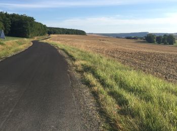 Tour Elektrofahrrad Gercourt-et-Drillancourt - Gercourt et Drillancourt-Mouzon-Charleville - Photo