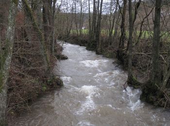 Trail On foot Hellenthal - Eisvogelpfad - Photo