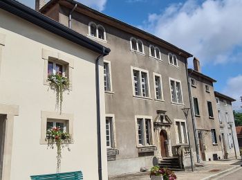 Randonnée Marche Château-Salins - Vic sur seille au départ de Château Salins  - Photo