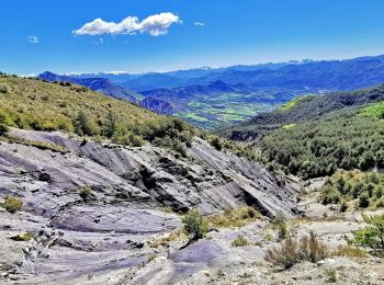 Tocht Stappen Esparron - Montagne de Rochefort via Esparron - Photo