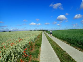 Tour Wandern Huldenberg - #200619 - Loonbeek Neerijse - Photo