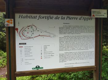 Tour Mountainbike Raon-l'Étape - sortie VTT du 19052019 Pierre d'appel - Photo