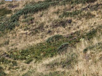 Tocht Stappen Le Claux - RA 2022 Traversée Eylac Lioran - Photo