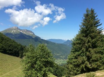 Randonnée Marche Saint-Pierre-d'Albigny - Pierre Besse vers la Croix d’Arclusaz  - Photo