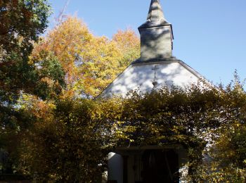 Tocht Stappen Gouvy - Chapelle de Saint-Martin (GOUVY 04) - Photo