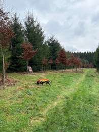 Tocht Stappen Léglise - Bombois - Photo