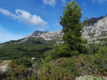 Trail Walking Puyloubier - La Ste Victoire-pic des mouches-07-10-20 - Photo