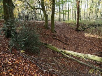 Tour Zu Fuß  - Gysenberg Rundweg A1 - Photo