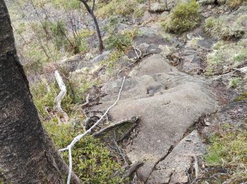 Tour Wandern Unbekannt - Landasfejellet - Photo