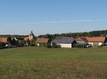 Tocht Te voet Allersberg - Die Rothsee-Tour - Photo