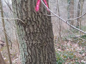 Tour Wandern Grez-Doiceau - 31 janvier 2020 archennes foot - Photo