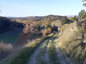 Randonnée Marche Villasavary - Tour Montcarrière depuis Monplaisir - Photo