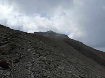 Tocht Stappen Saint-Dalmas-le-Selvage - Cime de Pal par Gialorgues - Photo