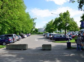 Randonnée A pied Maur - Maur Schifflände - Fluntern - Photo
