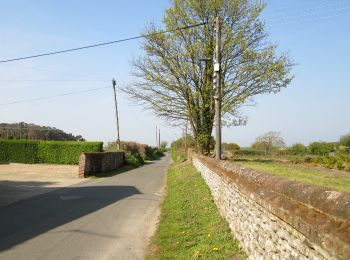 Trail On foot North Norfolk - Sheringham Circular - Photo