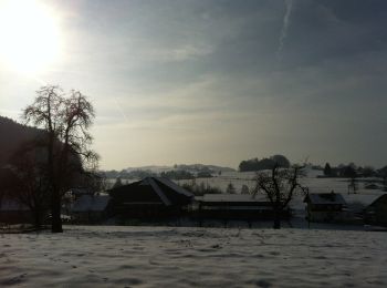 Percorso A piedi Pfaffnau - Pfaffnau - Guggerhöchi - Photo