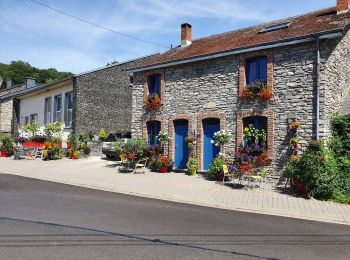 Tour Wandern Vresse-sur-Semois - rando laforêt 6/08/2020 - Photo