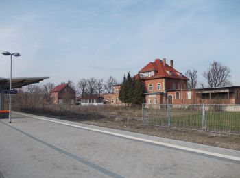 Tocht Te voet Laucha an der Unstrut - Borntal Rundweg - Photo