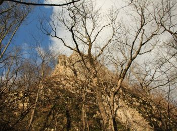 Tour Zu Fuß  - C.N.I.PT. Vlăhița - Colțul Chirui - Peștera Orbán Balázs (Cheile Vârghișului) - Photo