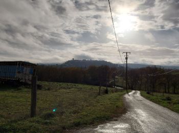 Excursión Senderismo Tournon-d'Agenais - Tournon - Photo