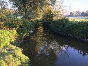 Trail On foot Römerswil - Nunwil - Retschwil - Photo