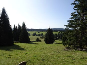 Tocht Te voet Horní Blatná - NS Blatenský příkop - Photo