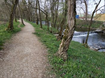 Randonnée Marche Saint-Julien-en-Genevois - Le long de l'Aire (Départ Thairy) - Photo