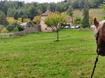 Tour Reiten Kaysersberg-Vignoble - 2020-10-11 Balade Kaysersberg Auberge St Alexis - Photo