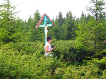 Percorso A piedi Vatra Dornei - Vatra Dornei-Schitul 12 Apostoli - Photo