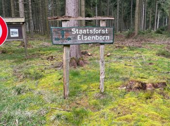 Tour Wandern Büllingen - Rocherath (Rocher de Bieley) 12 Km - Photo