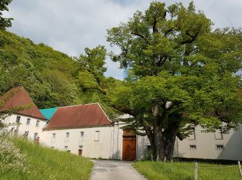 Percorso Marcia Simandre-sur-Suran - Selignac Lavillat Arnans - Photo