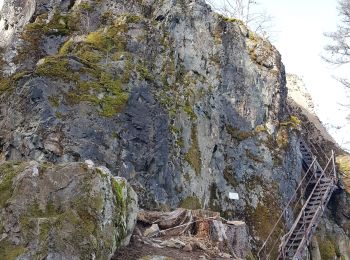 Tour Mountainbike Rothau - rothau - château de la Roche - Belmont - Perreux - champ'du feu - Rothlach - heidenkopf- rosenwiler - Molsheim - Photo