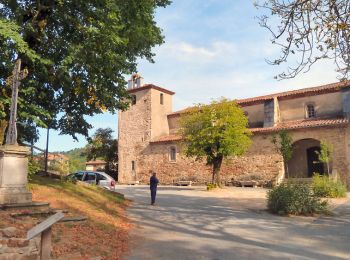 Tocht Andere activiteiten Sauveterre - Sauveterre - Photo