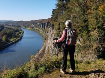 Tour Wandern Namen - 2021-10-21_17h46m31_1499 - Photo