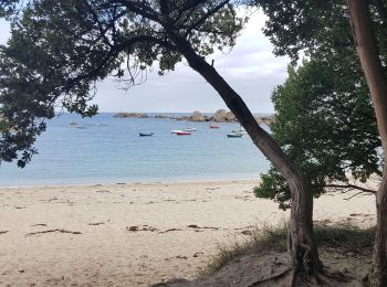 Excursión Senderismo Plounéour-Brignogan-Plages - brignogan - Photo