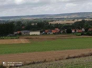 Randonnée Marche Bouvelinghem - Les quatre bois - Photo