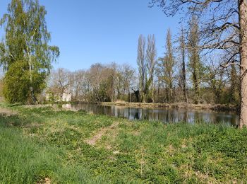 Excursión Senderismo Coye-la-Forêt - randonnée découverte depuis côté la forêt jusqu'au étangs de comelles et retour sur coye - Photo