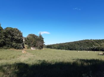 Trail Walking Le Boulou - rando de la bataille du Boulou - Photo