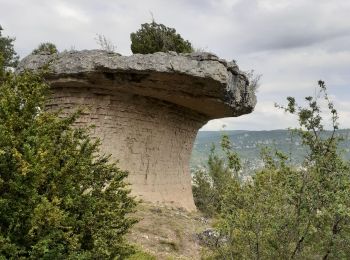 Trail Walking Mostuéjouls - Gorges du Tarn (Liaucous) - Photo