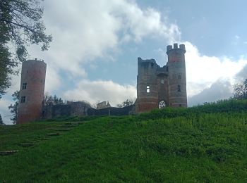 Tour Wandern Saint-Siméon-de-Bressieux - autour de st Siméon de bressieux - Photo