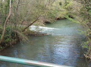 Tocht Stappen Bras - 20190414 reco partielle Bras Le Tombereau - Photo