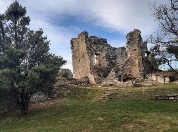 Randonnée Marche Rochefort-en-Valdaine - Le Colombier Rochefort en Valdaine 16km. - Photo