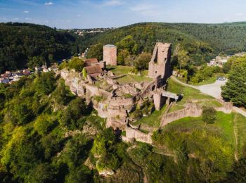 Tocht Te voet Lutzelbourg - Château de Lutzelbourg - Photo