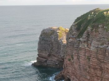 Tocht Stappen Hendaye - Sentier littoral - Photo