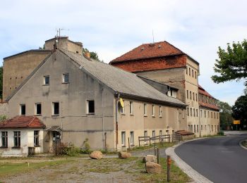 Tour Zu Fuß Mücka - Wanderweg Gelber Strich - Photo