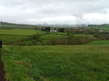 Randonnée Marche Le Monastier-sur-Gazeille - 2 Stevenson Le Monastier sur Gazeille - Le Bouchet St Nicolas - Photo